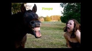 Лучшая Подборка Приколов ¦ ТОПОВЫЕ ПРИКОЛЫ,полный отпад