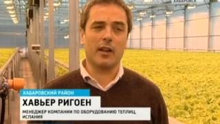 Вести-Хабаровск. Теплицы по выращиванию салатов на природном газе