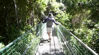 Roatan, Honduras - Eco Walk and Suspension Bridge Tour HD (2016)