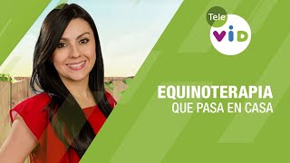 Equinoterapia, Qué Pasa en Casa - Tele VID