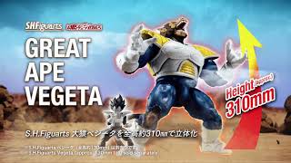 S.H.Figuarts 最大級の巨体！大猿ベジータの可動フィギュア化ついに実現!!