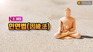 5. 인연법(因緣法) - 고도의 참수행법 365회 설법 동영상
