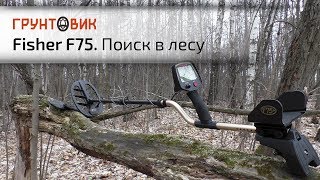Металлоискатель Fisher F75+ | Поиск в лесу
