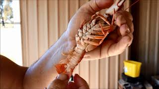 How to cook yabbies