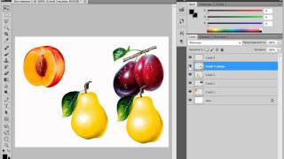 Работа со слоями в Adobe PhotoShop CS5 (10/51)