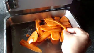 Fruit & Vegetable Processing Machine