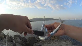 Поймал рыбу мечты на пилкер! Тактика ловли на пилкеры и силикон в Черном море. Горбыль