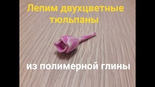 Двухцветный тюльпан из полимерной глины.