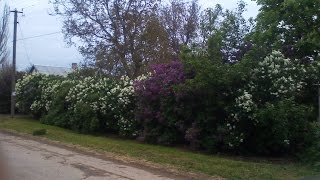 Купальный сезон в Крыму для меня открыт 13.05.2015