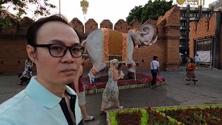 งานไม้ดอก ไม้ประดับ ที่ประตูท่าแพ จังหวัดเชียงใหม่ ปี 2563 (Chiang Mai Flower Festival 2020)
