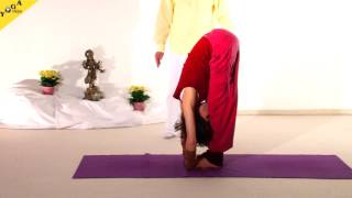 Vorwärtsbeuge - stehend - Variationen - Praktische Anleitung (Auszug aus Yoga Anfängerstunde)