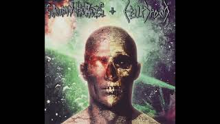 Subhuman Hordes ​/ ​Hell Brood - Full Split [2019 Grindcore / Death Metal]
