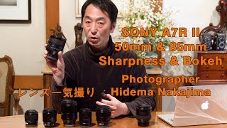 SONY a7R II 50mm & 85mm Sharpness & Bokeh | ソニーレンズの撮り比べ | Hidema channel