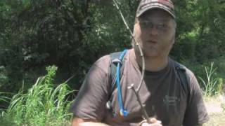 Survival Fishing with Flowers - Part One