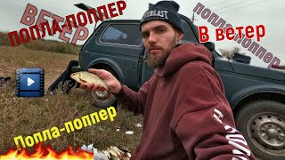 В ветер ПОПЛА-ПОППЕР . Красноперка . Рыбалка с лодки .Сети и жадные люди которые их бросают !2019.