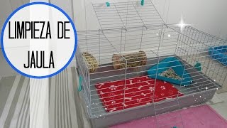 COMO LIMPIAR LA JAULA DE UN CONEJO