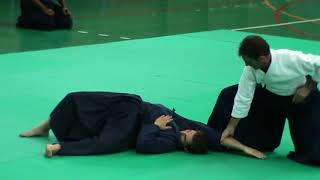 Kōryūkai 2017 Kobudō Enbu Taikai - Asayama Ichiden Ryū Tai Jutsu