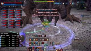 Tera 30-man Raid Stage 2 Lancer PoV