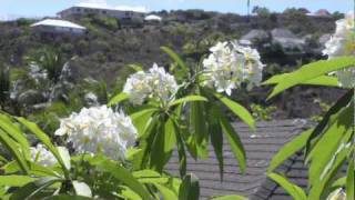St. Barts St. Barth St. Barthelemy