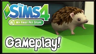 The Sims 4: My First Pet Stuff | Objects & Gameplay! ?