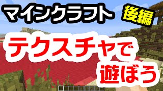 【マイクラ】テクスチャで遊んでみよう！後編