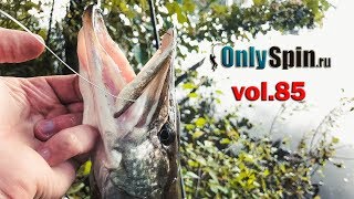 Уловистая проводка воблера Jackall Magallon  #OnlySpin