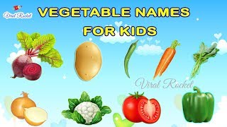 VEGETABLES Names for Kids in English | Vegetables Name with Pictures for Children || VIRAL ROCKET