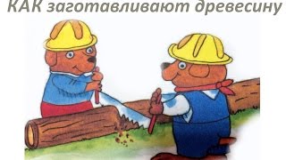 Как заготавливают древесину и что делают из дерева. Обучающее видео для детей
