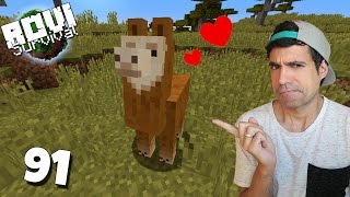 MI NUEVA MASCOTA: LAS LLAMAS | Rovi Survival Minecraft | Episodio 91
