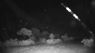 Djuma Private Game Reserve Live Stream