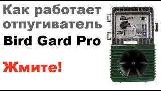 Отпугиватель птиц Weitech WK-0033 - Bird Gard Pro