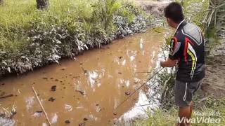 Skipping with 4.5gram soft plastic worm