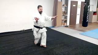 Kata Hakucho(white crane Hakutsuru) Mabuni ha Shito ryu