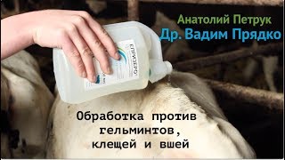 Чем провести обработку против глистов, клещей и вшей? СУБТИТРЫ НА РУССКОМ!