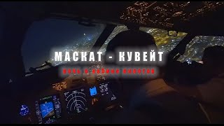 Работа пилота: ночной полет. Боинг 737. Взлет, посадка в ручном режиме, взлет. Вид из кабины.