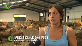 Brenda Rodríguez: Ganadera en Barlovento