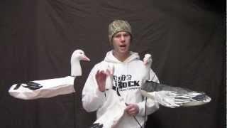 New Product Feature | White Rock Headed Snow and Blue Goose Decoys