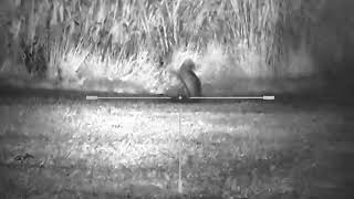 yukon photon RT 6x50 Rabbit Control