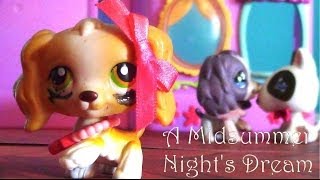 BTS: Midsummer night's dream