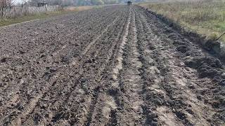 Финиш 19.10.19г. Посадка чеснока закончена. Начало посадки озимого лука севка.