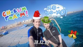 31.12.16 _ Шарм Эль Шейх _ Снорклинг _ Новый год _ Sharm El Sheikh _ Snorkeling _ New Year