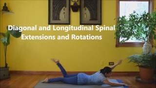 Prone Position Pilates - Full Class with Vidya Nahar to Firm up the Back