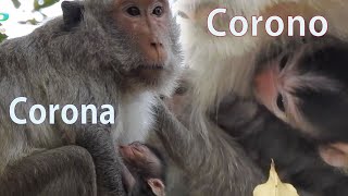 Create name for mom & newborn in Cyclops group | Mom name Corona baby name Corono, Lucky family