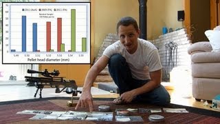 Does Pellet Sorting Improve Air Rifle Accuracy?