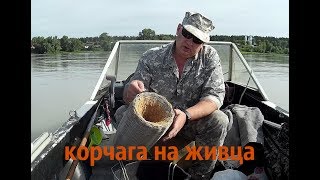 КОРЧАГА для ловли живца