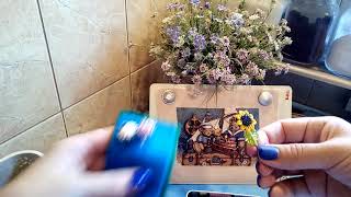 Вышивка крестом. Dimensions. Ahoy! Bears. Финиш. Покупки Mill hill .