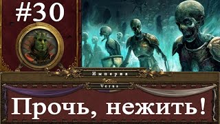 Прохождение за Империю Total War: Warhammer - #30