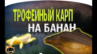 БЕГИ НА ТОЧКУ, ПОКА РАЗДАЕТ! ● РОЗЫГРЫШ ● Русская Рыбалка 4
