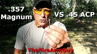 .357 Magnum vs .45 acp (Range Test) - TheFireArmGuy