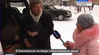 Нападение собак (запись с эфира 10 января 2017 г.)